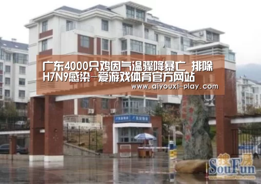 广东4000只鸡因气温骤降暴亡 排除H7N9感染-爱游戏体育官方网站(图3) 爱游戏百家乐