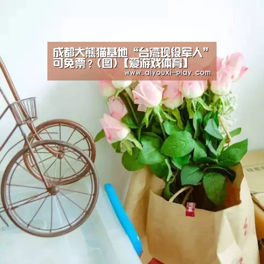 爱游戏体育