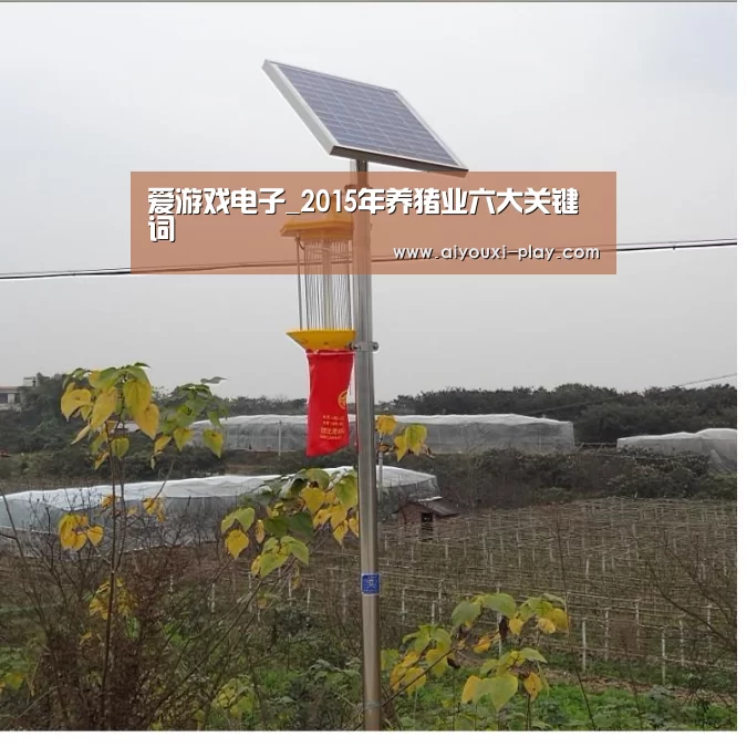 爱游戏电子_2015年养猪业六大关键词(图1) 爱游戏体育官方网站