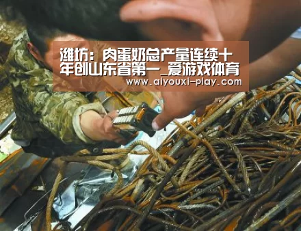 爱游戏百家乐