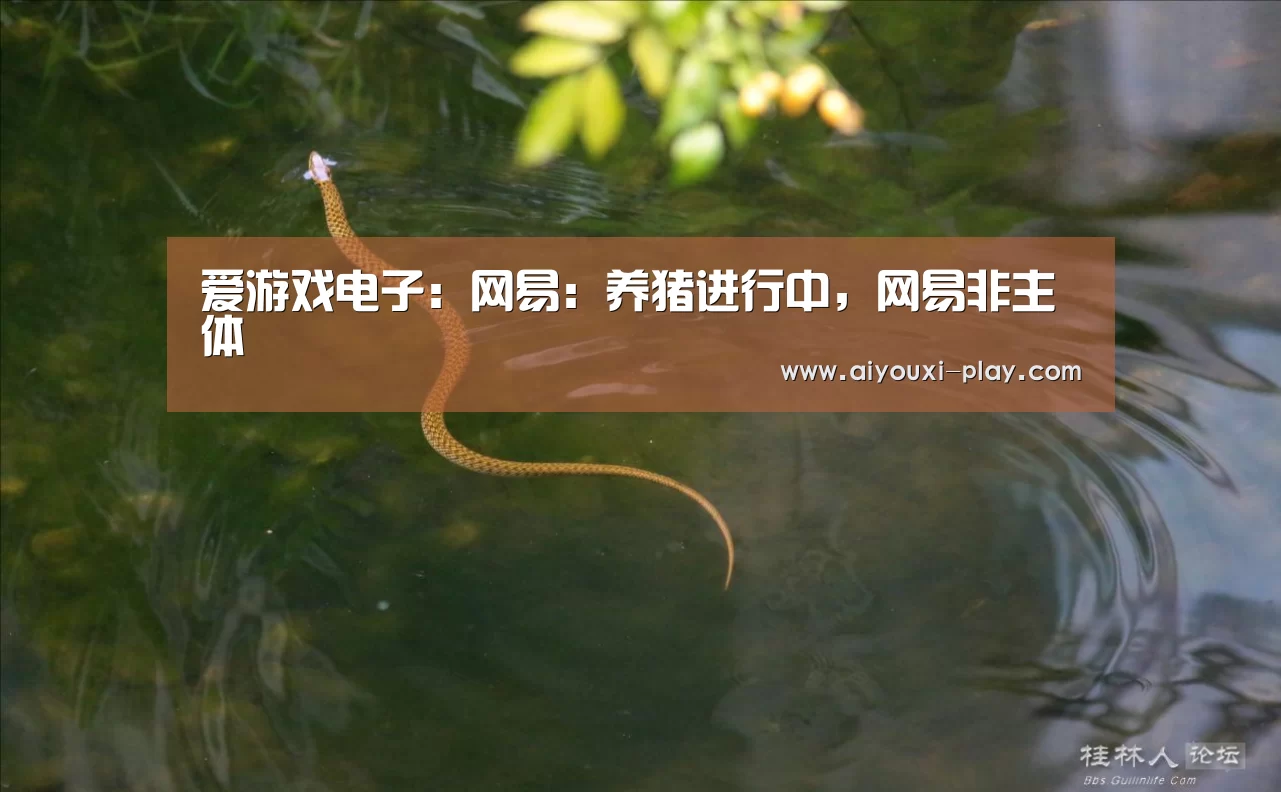 爱游戏体育官方网站