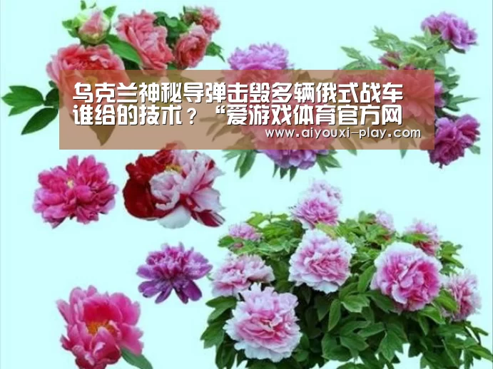 乌克兰神秘导弹击毁多辆俄式战车 谁给的技术?“爱游戏体育官方网站”(图2) 爱游戏体育官方网站